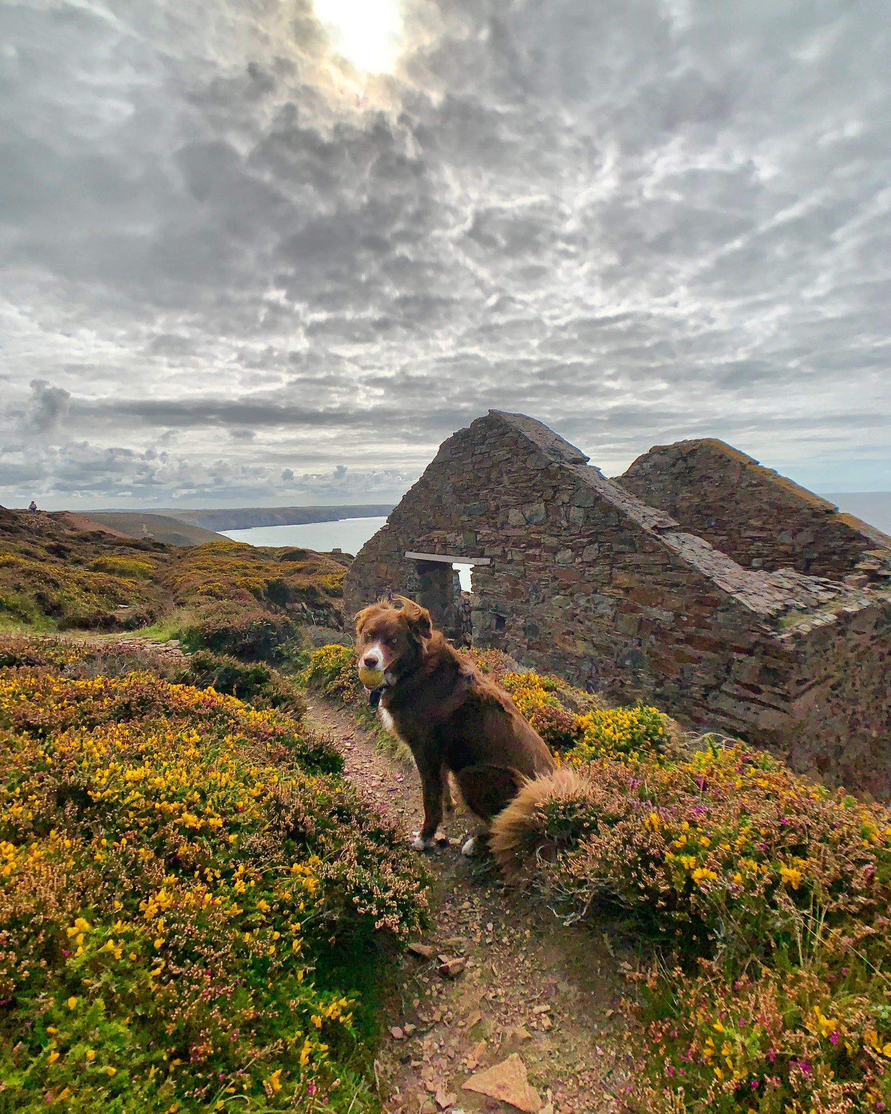 Wheal Coates Tin Mines