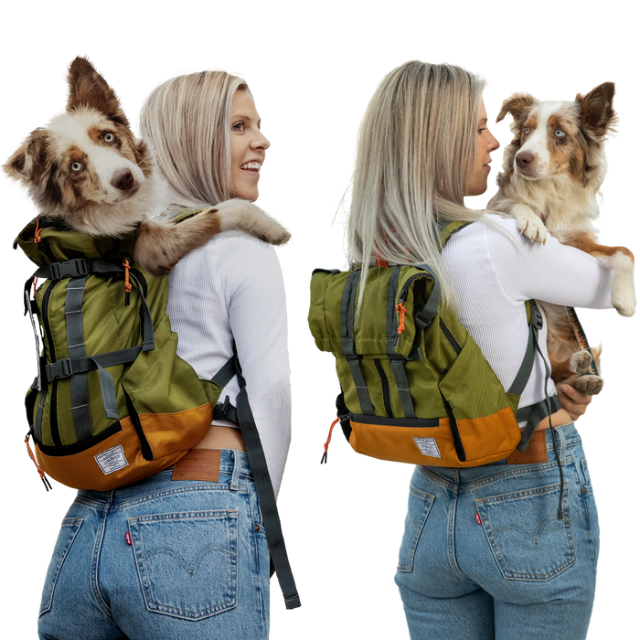 New - K9 Sport Sack