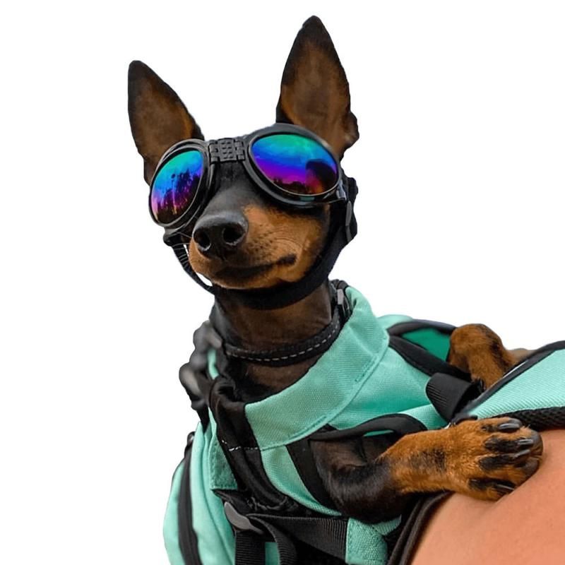 Doggles