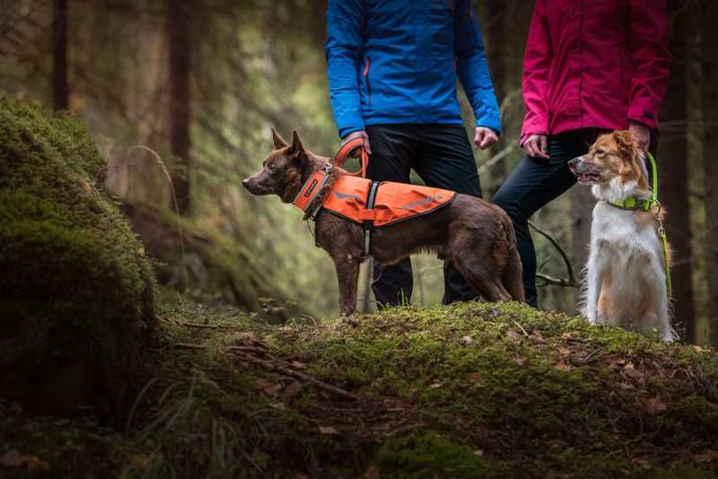 Prozone Reflective Vest